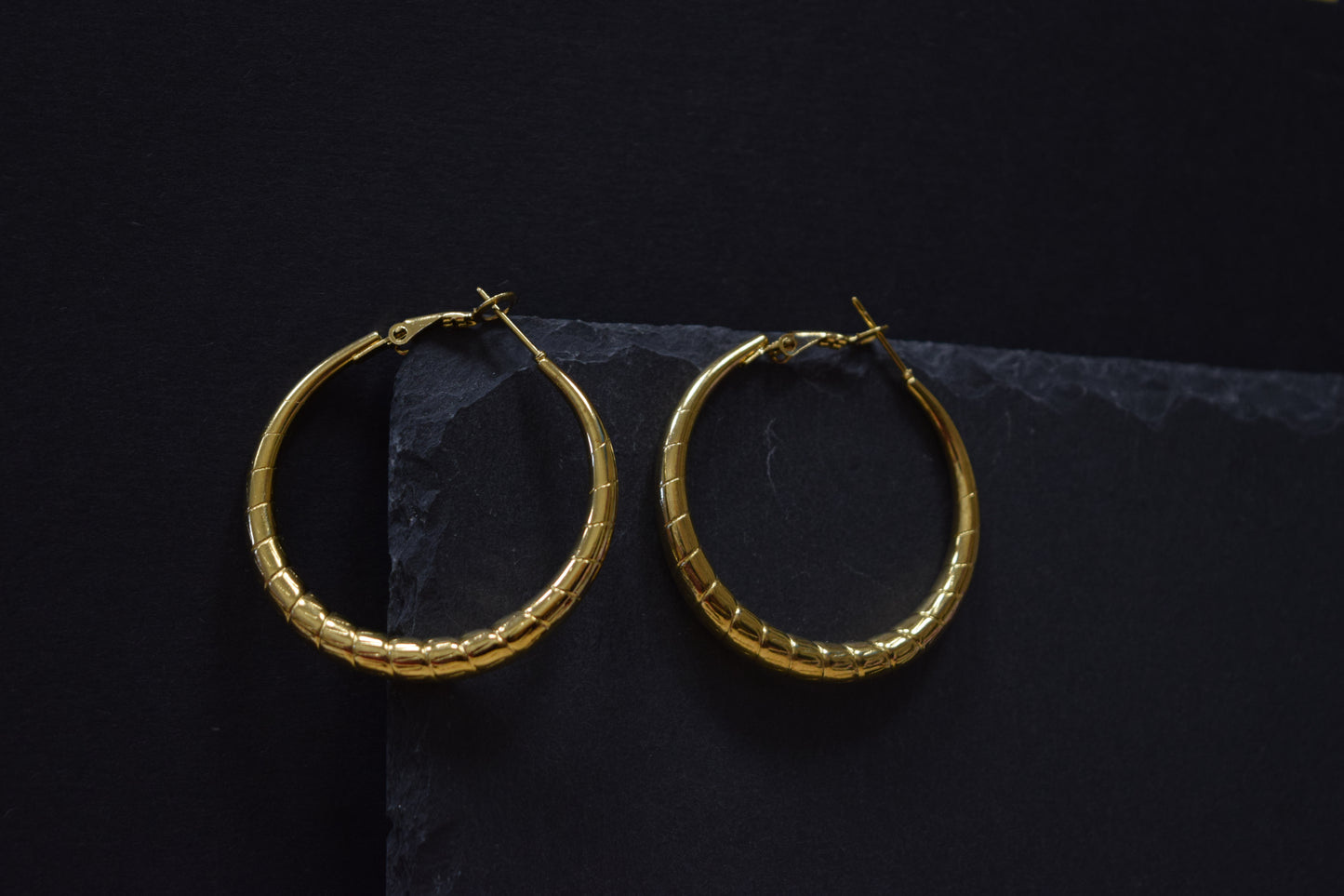 Hoop-la-Hoop Earrings